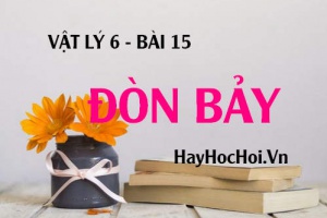 Đòn bẩy là gì? Cấu tạo và Ứng dụng của đòn bẩy - Vật lý 6 bài 15